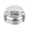 DT 10.10603 Cap, wheel bearing